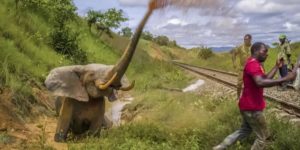 Highly Commended Photos From Wildlife Photographer Of The Year 2023