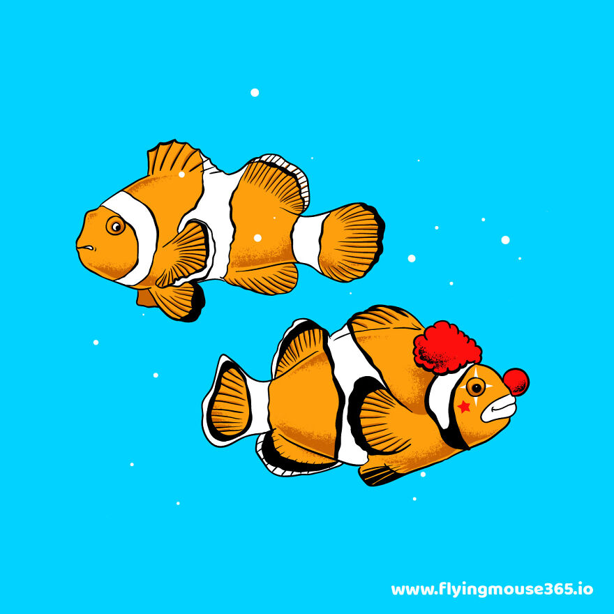 Clown-Fish-6365ec7411b3b__880