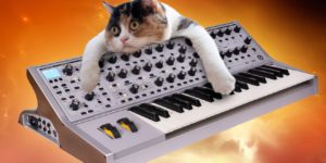 Totally Pointless Gallery of The Cats 'Performing' On Synthesizers In Space