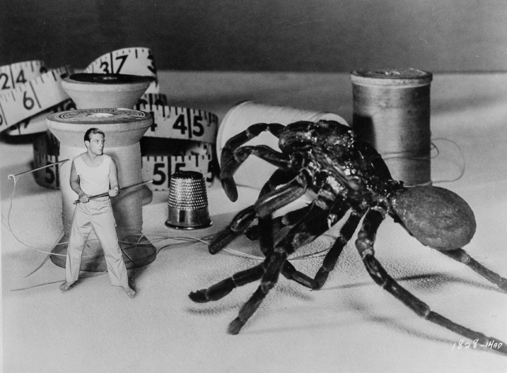 the-incredible-shrinking-man-5
