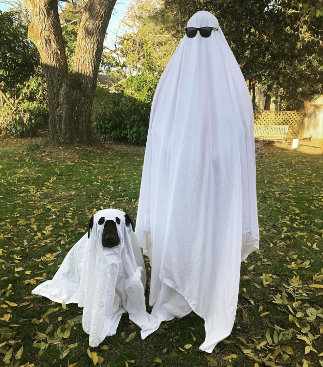 Dog Ghost Costume5