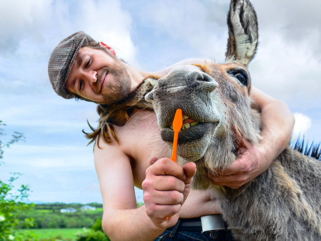 irish-farmer-calendar1