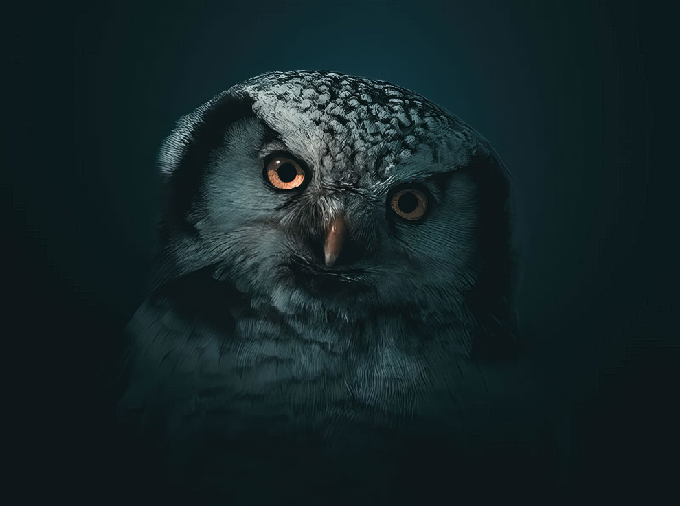 Spectacular Winning Photos Of The Eisa Maestro Awards 2023 - Vimarsana News