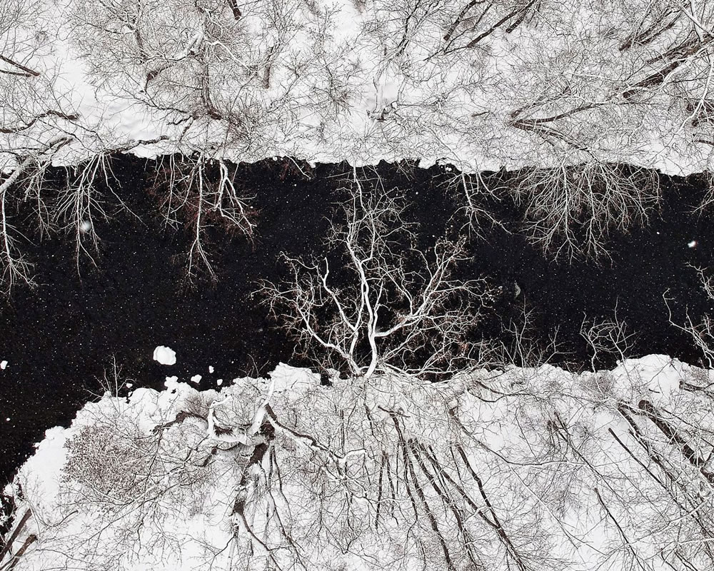 Spectacular Winning Photos Of The Nature Conservancy Awards 2023 - Vimarsana News
