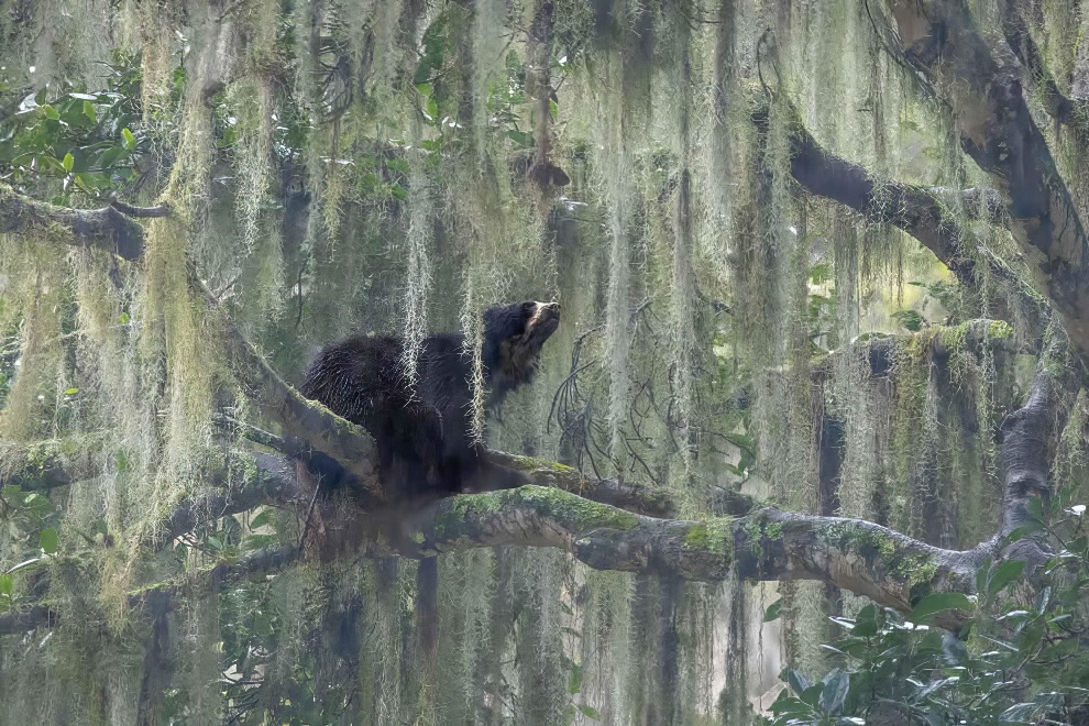 Nature Photographer Of The Year Awards Winners 01 