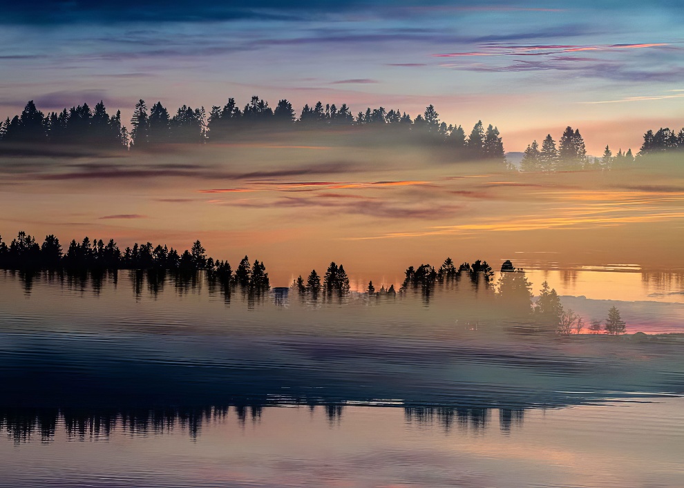 Nature Photographer Of The Year Awards Winners 12 