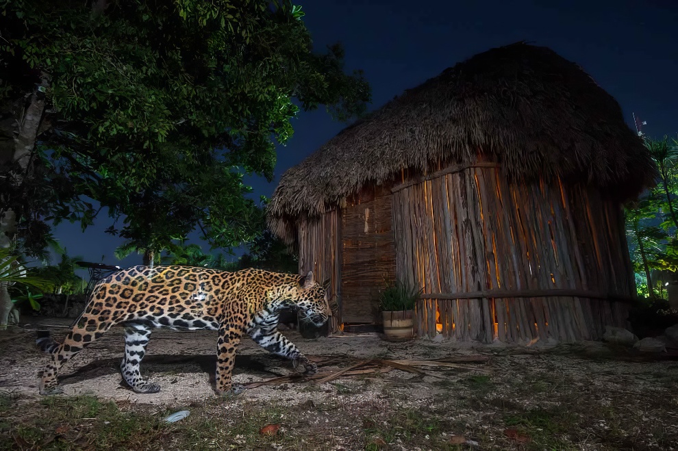 Nature Photographer Of The Year Awards Winners 28 