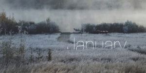 1111