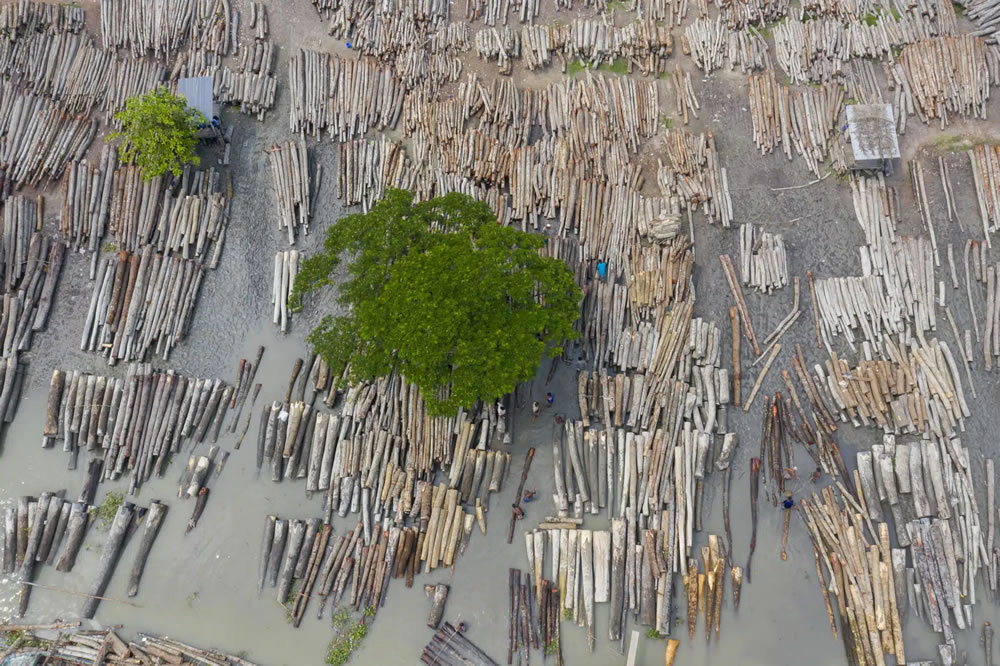 Heartbreaking Winning Photos of Earth.org 2023 Photo Competition - Vimarsana News