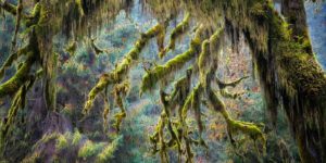 Ocean Nature Photography Nbp Awards 18