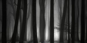 Nature Photography Fine Art Awards 09