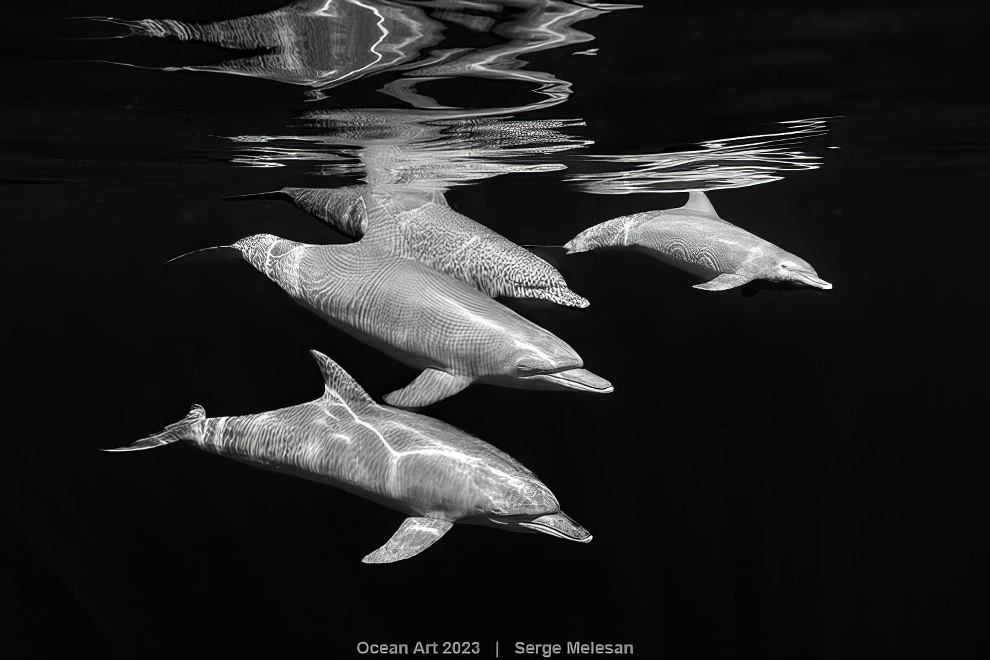Ocean Art Photography Winners 28 