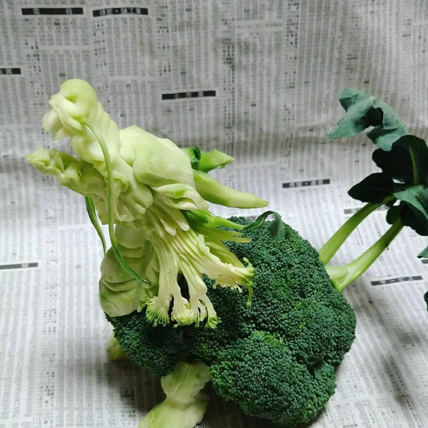 Gaku Carving A Food Carving Artist Changes Vegetables And Fruits Into Surprising Artworks New Pics 65d49f074c79c Jpeg 880