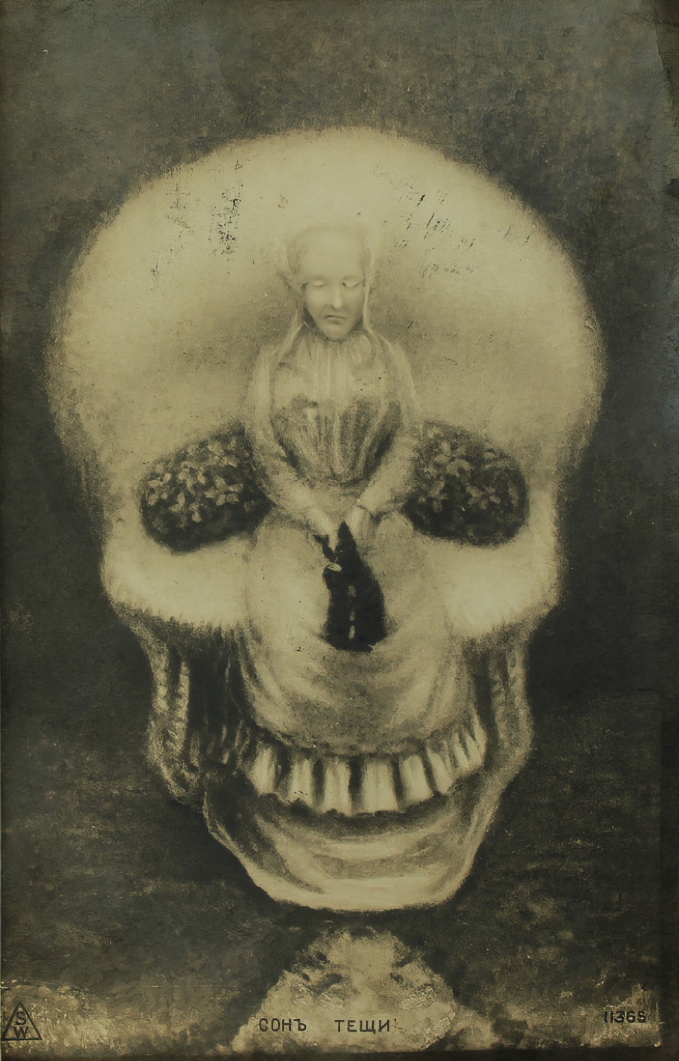 Skull Optical Illusion Postcard 14 