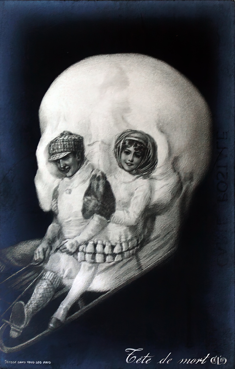Skull Optical Illusion Postcard 5 