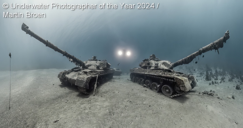 Under Water Photographer Of The Year Winners 11 