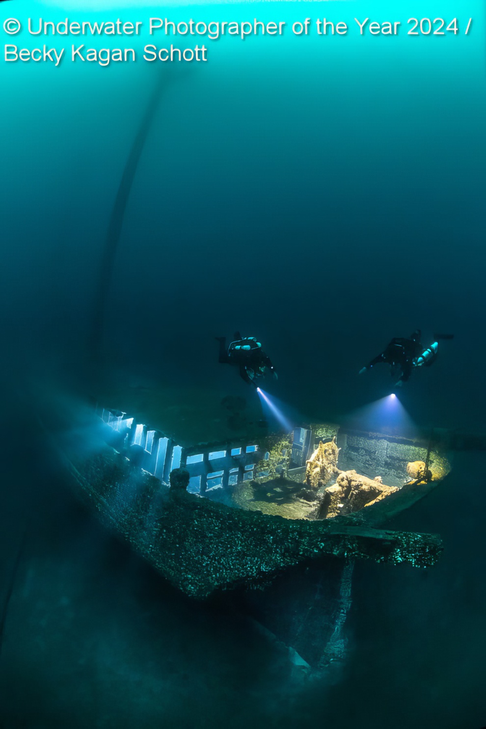 Under Water Photographer Of The Year Winners 12 