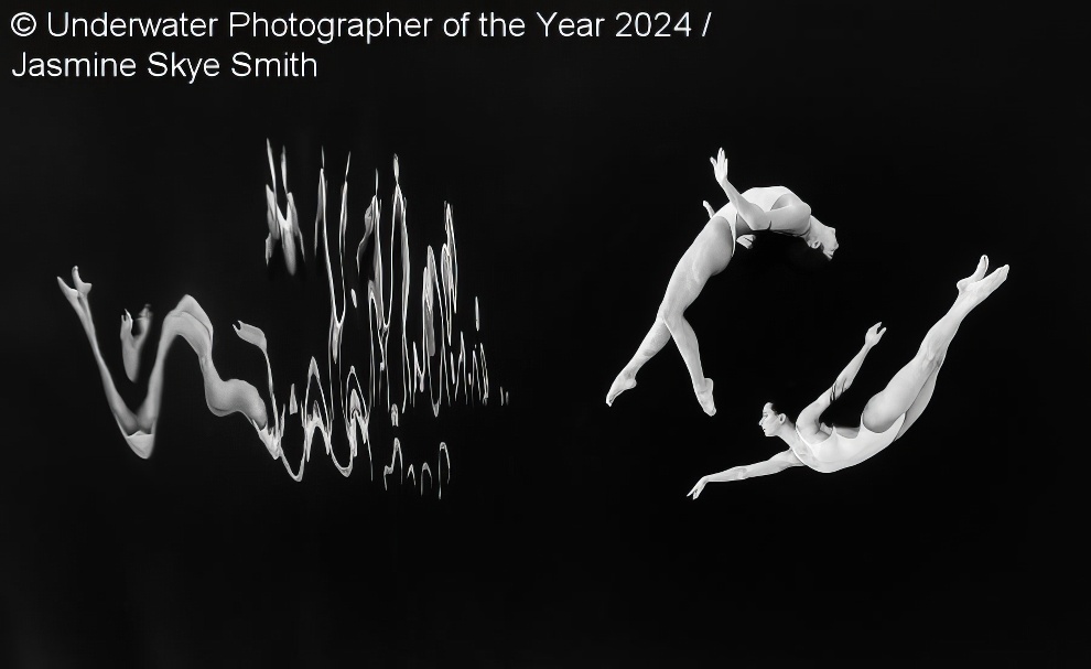 Under Water Photographer Of The Year Winners 20 