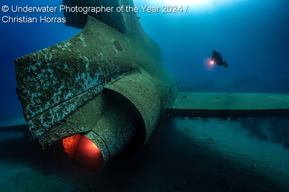 Under Water Photographer Of The Year Winners 31 