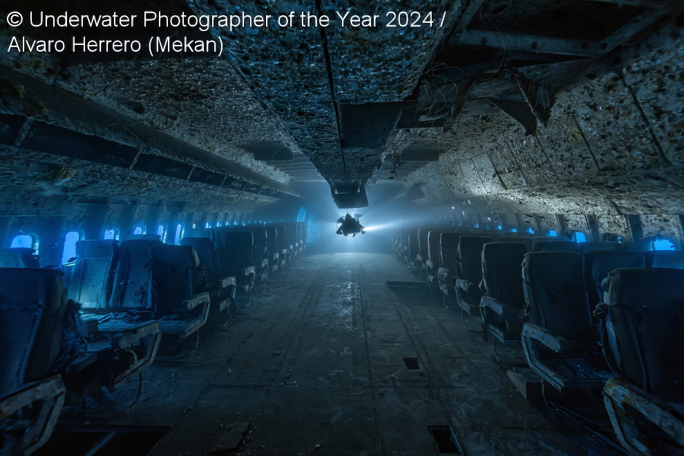 Under Water Photographer Of The Year Winners 32 