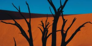 Refocus Landscape Photography Winners 12 
