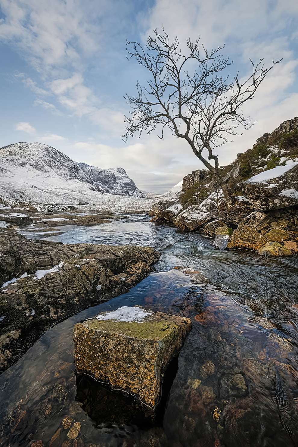 Scottish Nature Photography Awards 13 