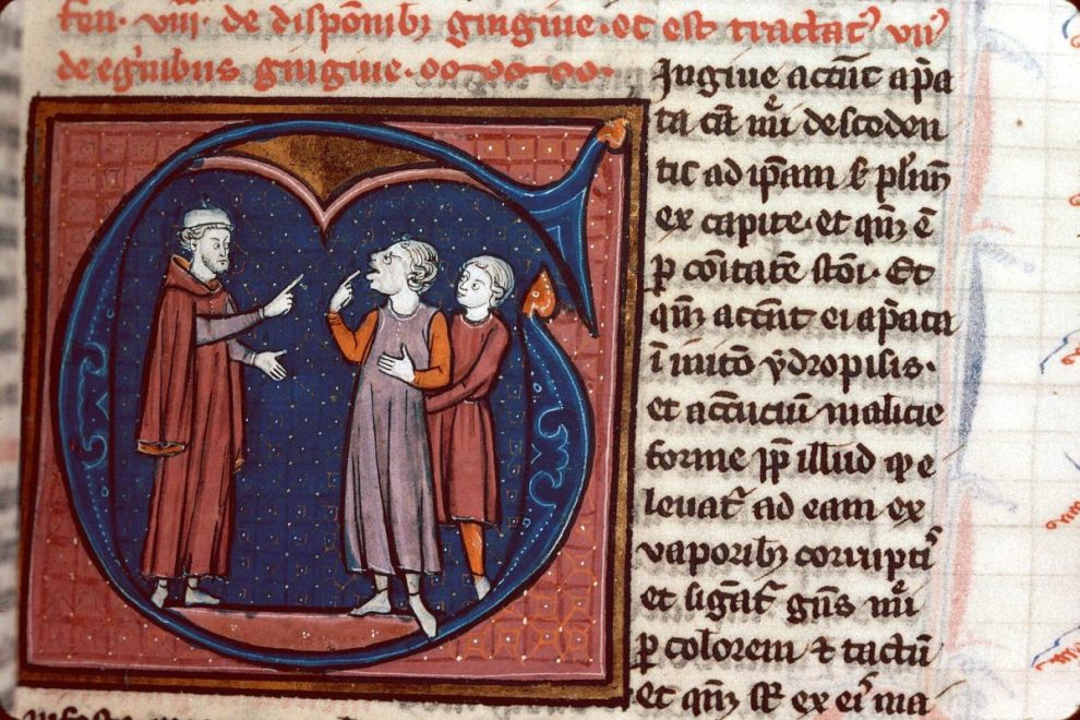 Avicenna Canon Medicinae. Paris 13th Century. 12 1200x800