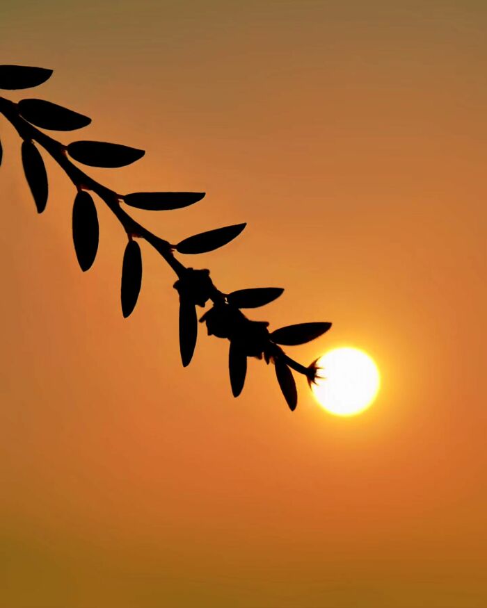 Golden Hour Gems Aaditya Shrirang Bhats Stunning Sunset Photo Stories 27 Pics 660a5b8f1eb57 700