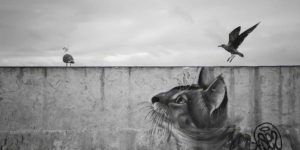 Mobile Photo Awards Winners 10 