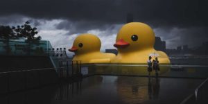 Sony World Photography Awards Street 06 