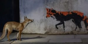 Wildlife British Photography Awards 02 