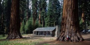 Yosemite National Park 1960s 1 