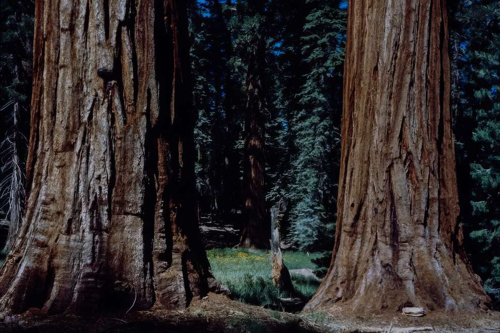 Yosemite National Park 1960s 11 