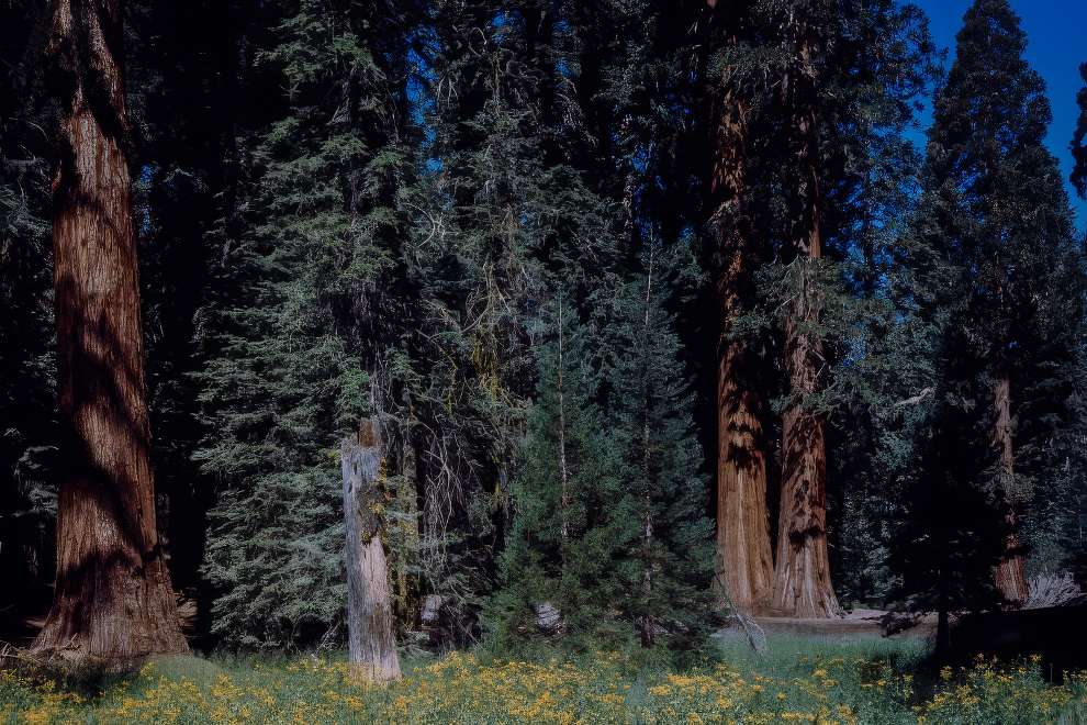 Yosemite National Park 1960s 12 
