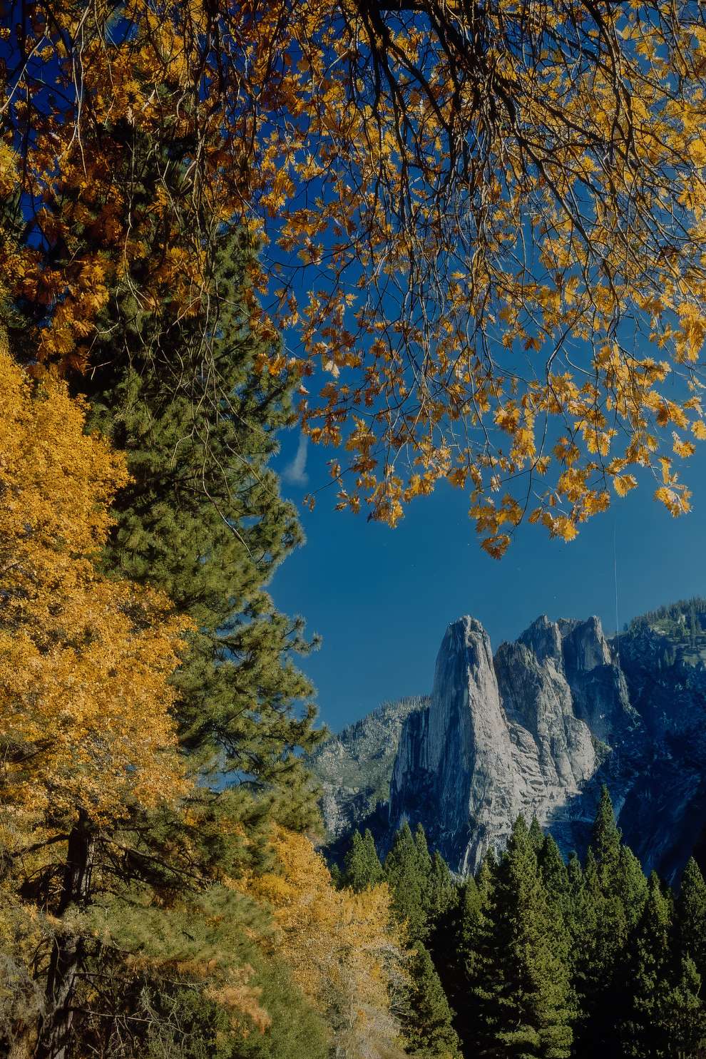 Yosemite National Park 1960s 2 