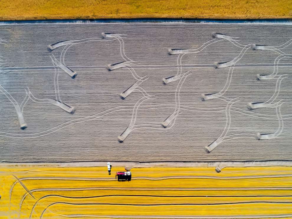 Abstract Drone Photo Awards Winners 08 