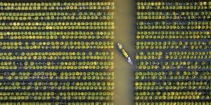 Aerial Photography 35photos Winners 26 