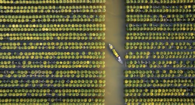 Aerial Photography 35photos Winners 26