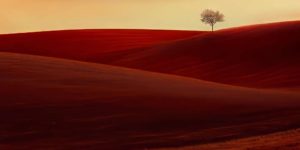 Refocus Photography Awards Landscape 13 