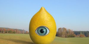 Eastern European Architecture Is Combined With Genetically Modified Produce By An Artist Who Works In The Surrealist Style