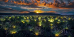 Landscape Photography 35 Awards Winners 09 