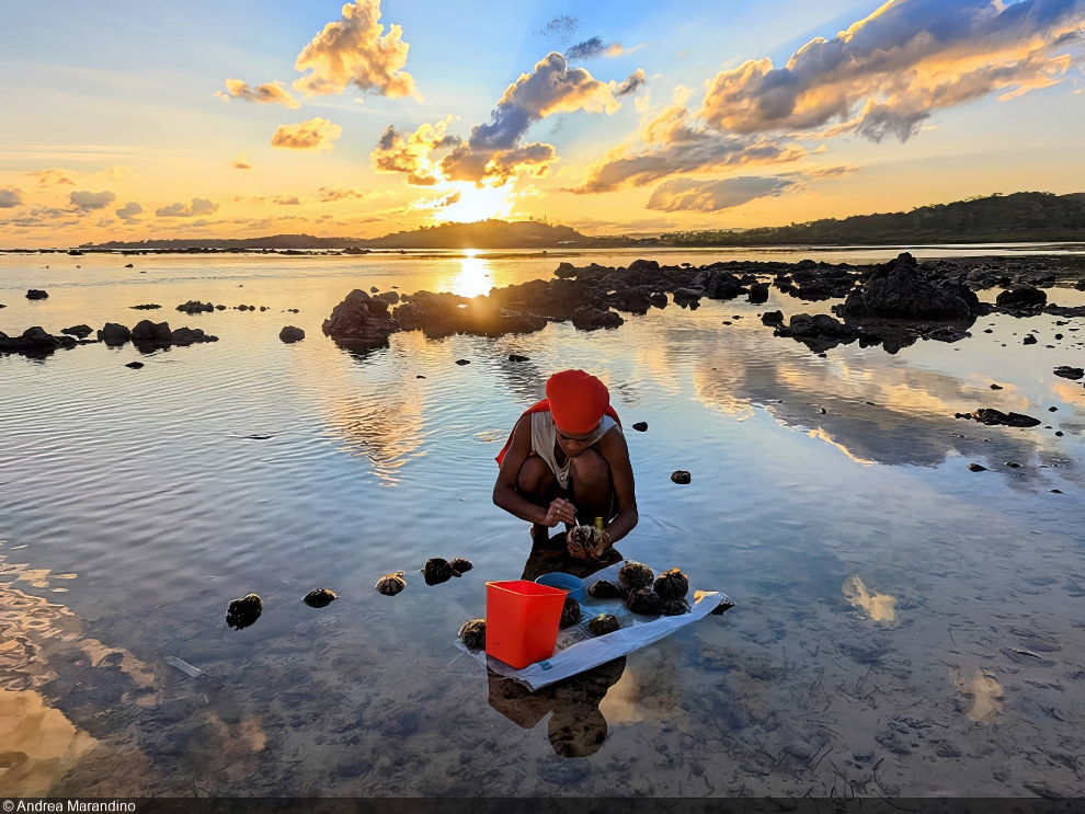 World Oceans Day Photo Contest Winners 05 