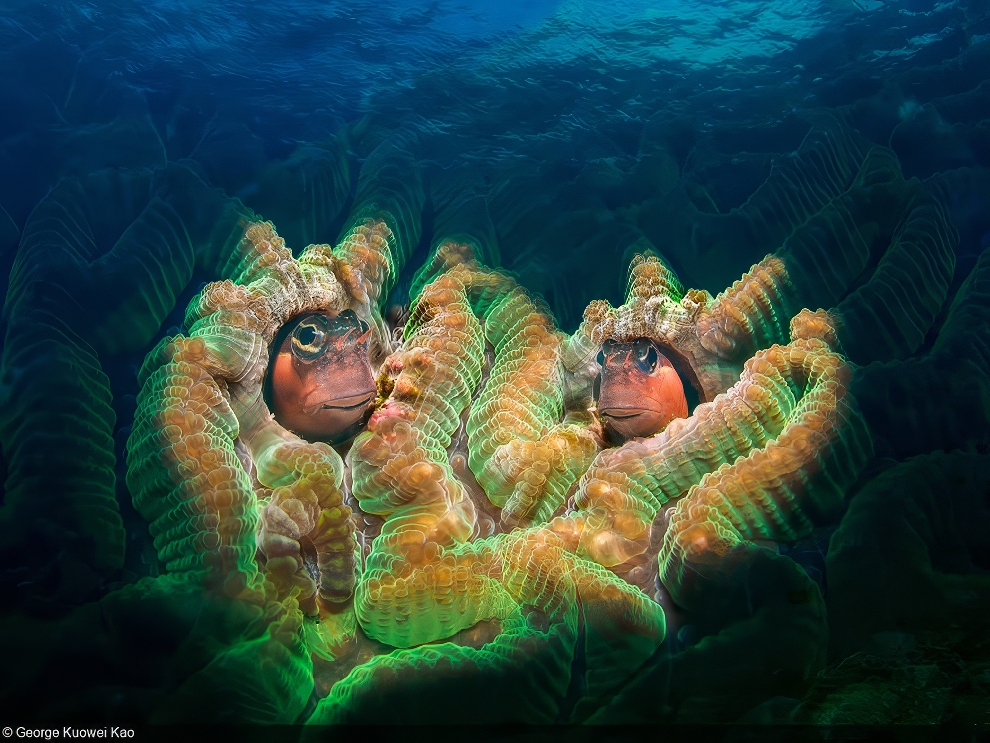 World Oceans Day Photo Contest Winners 08 