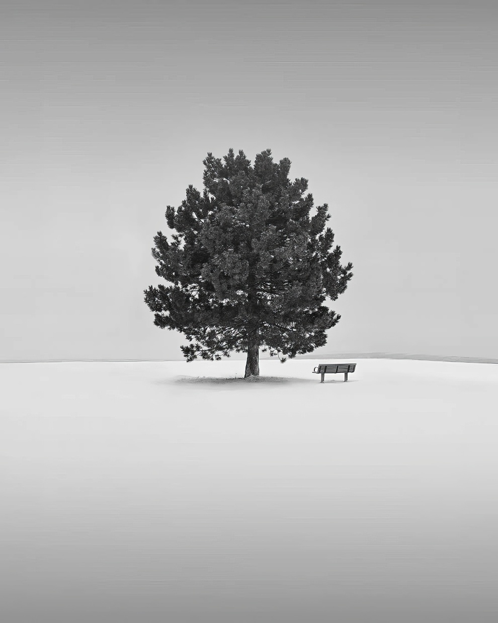 Minimalism Black And White Awards 10