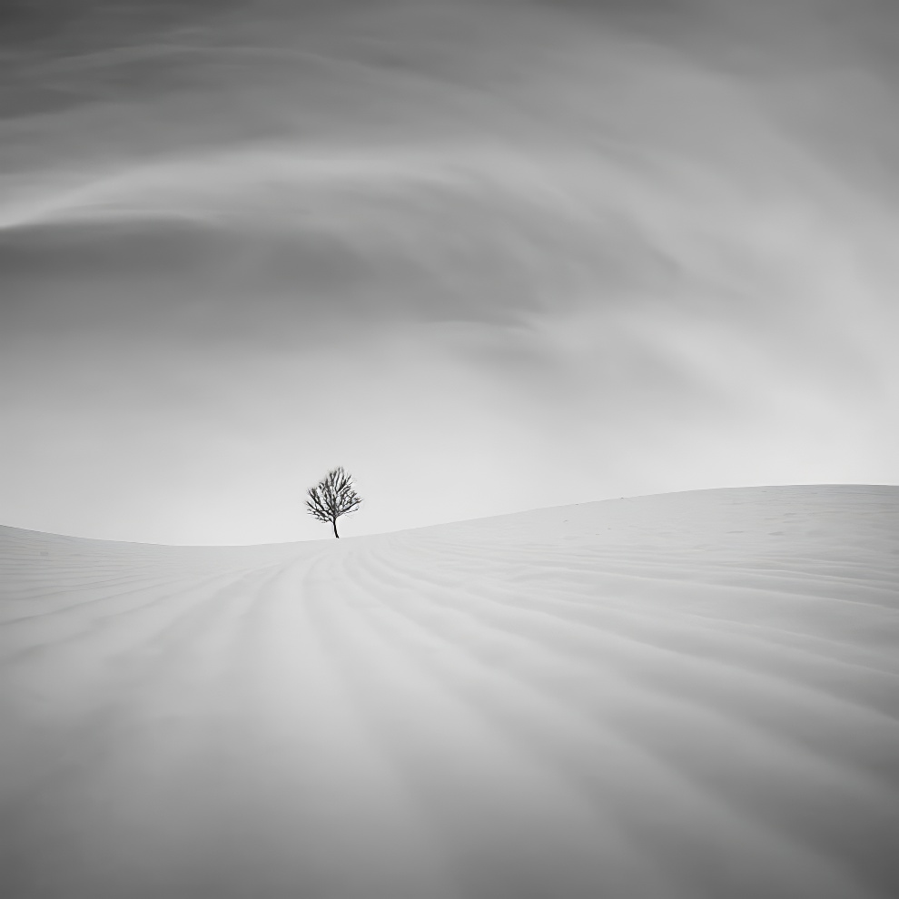 Minimalism Black And White Awards 12