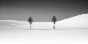 Minimalism Black And White Awards 16