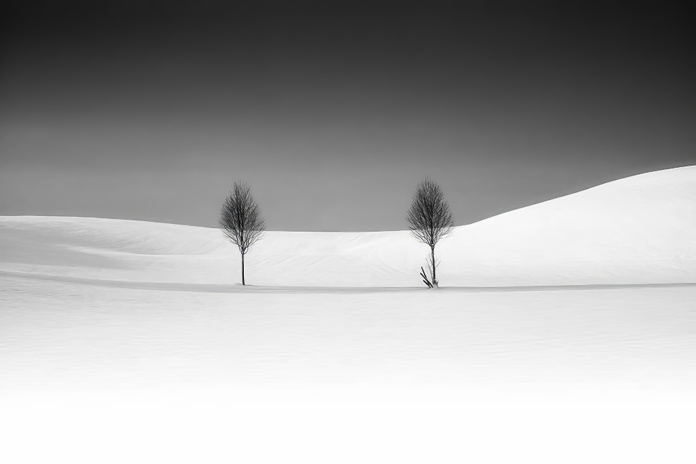 Minimalism Black And White Awards 16