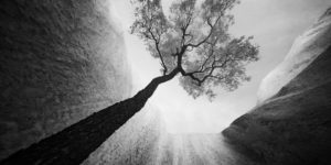 Monochrome Photography Awards Landscape Winners 09