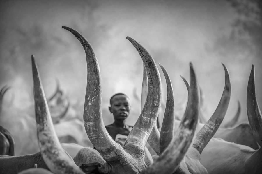 Black And White Photo Awards 2024 Winners 13