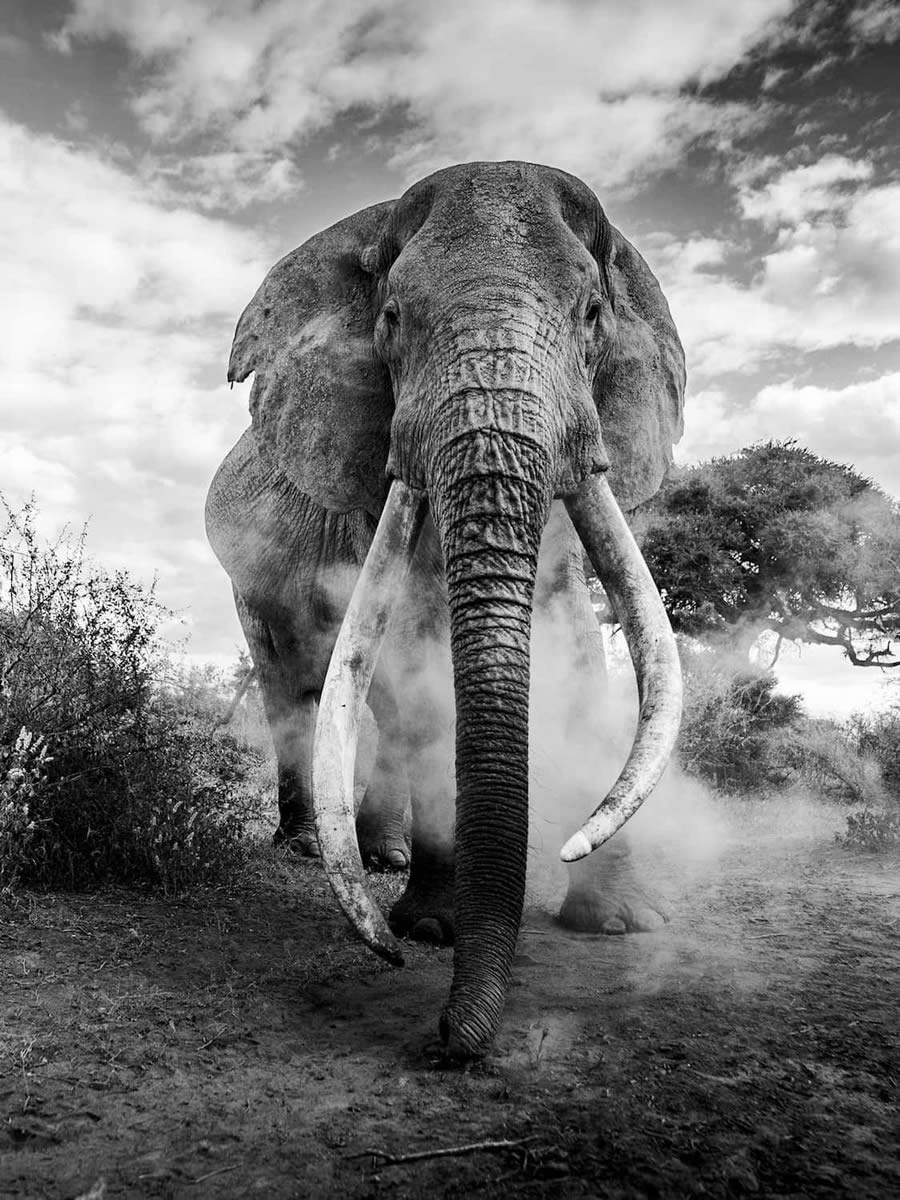 Black And White Photo Awards 2024 Winners 20